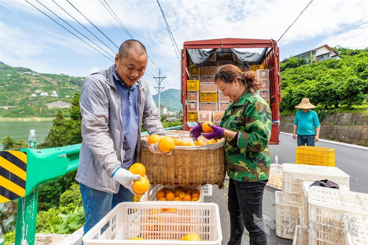 秭归房屋最新出售信息总览