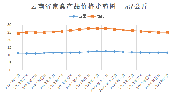 云南鸡价格最新行情解析