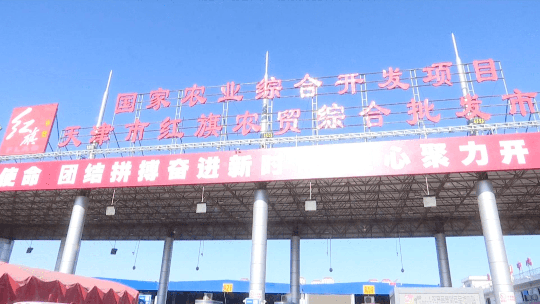 红旗农贸市场最新报价，引领农产品价格风向标，洞悉市场动态