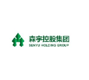 森宇集团最新深度解析报告