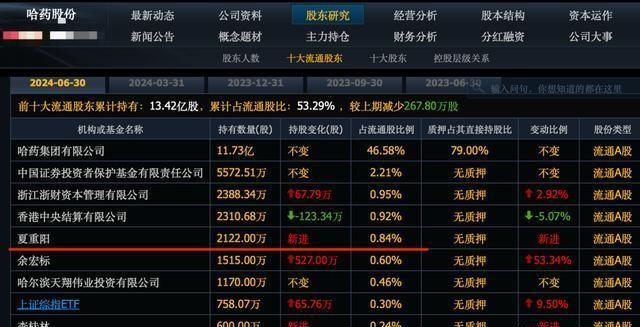 揭秘徐开东最新持仓，2017年投资布局与策略洞察揭秘徐开东的投资之道