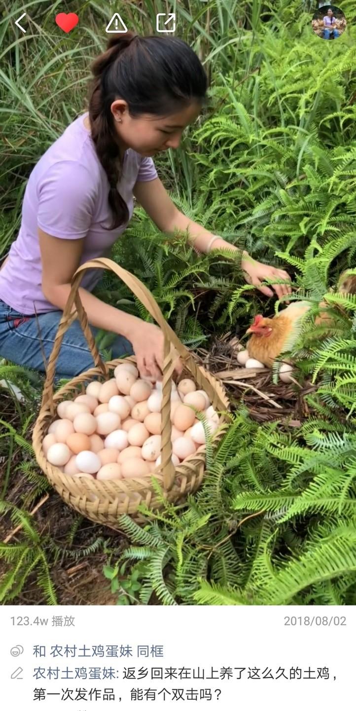 土鸡蛋下载，数字化时代下的乡村美食探索之旅