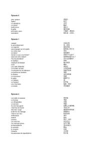 法国四级种子下载，探索与体验之旅