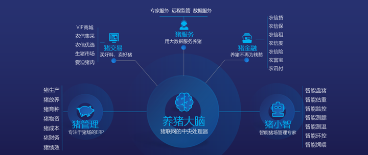 澳门精准资料免费,实地分析验证数据_pro36.818