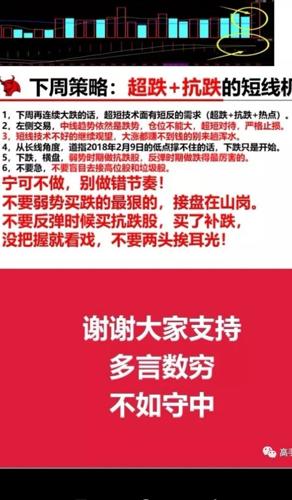 新澳高手论坛资料大全最新一期,理论分析解析说明_bundle66.279