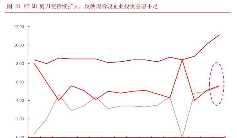 2024年12月1日 第5页