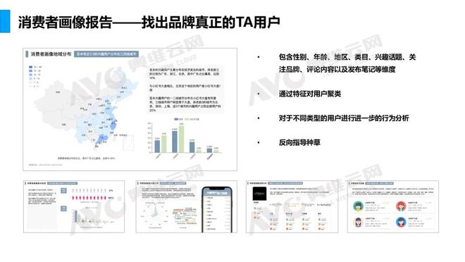 澳门正版资料全年免费公开精准资料一,深层数据策略设计_XT50.973