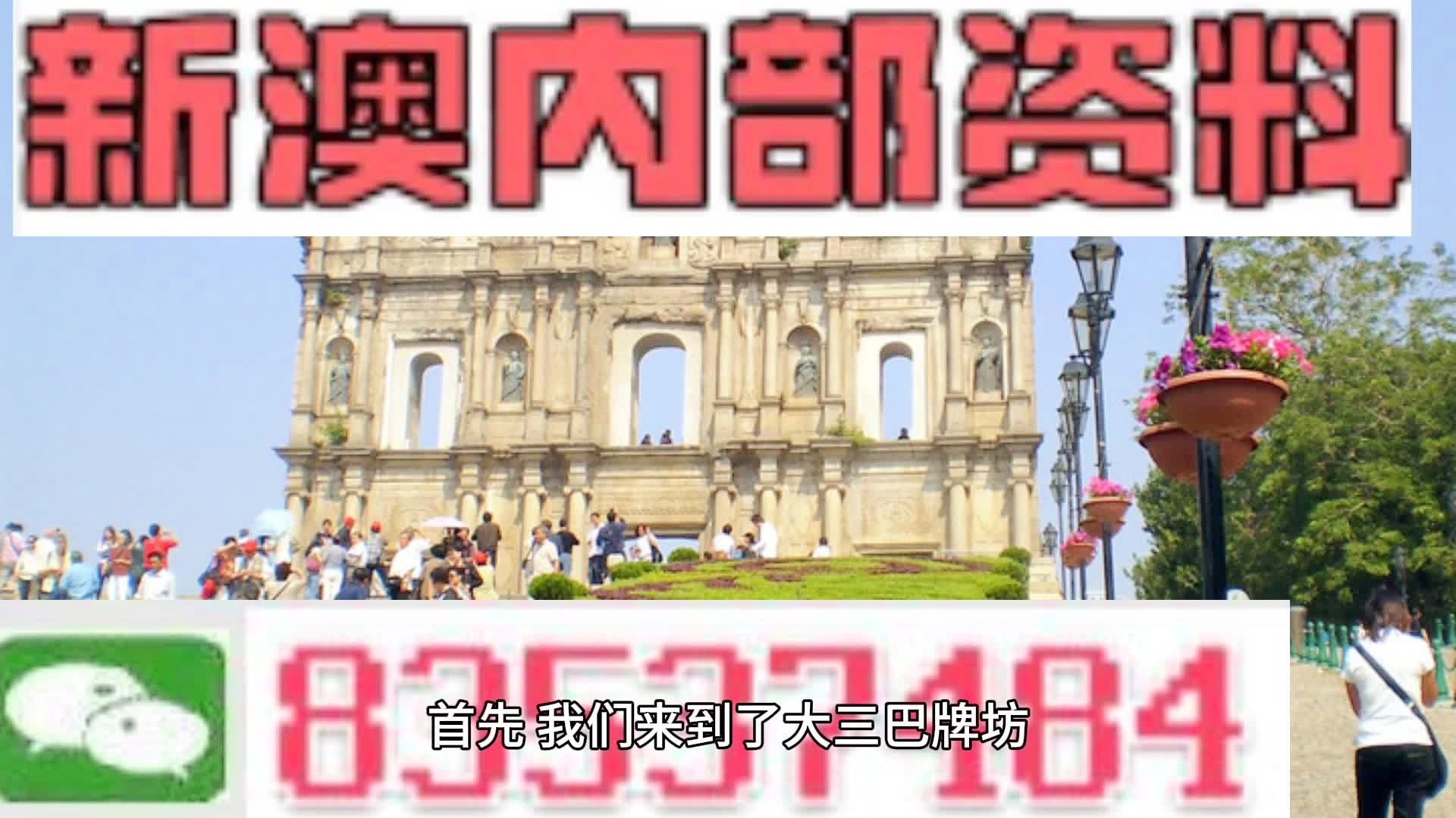 新澳门资料免费长期公开,2024,经济性方案解析_网红版77.22