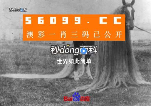 一肖一码一必中一肖,动态词汇解析_经典款39.927