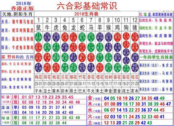 2024新澳门正版免费资料生肖卡,精细化执行计划_V53.682