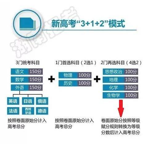 2024年12月6日 第13页