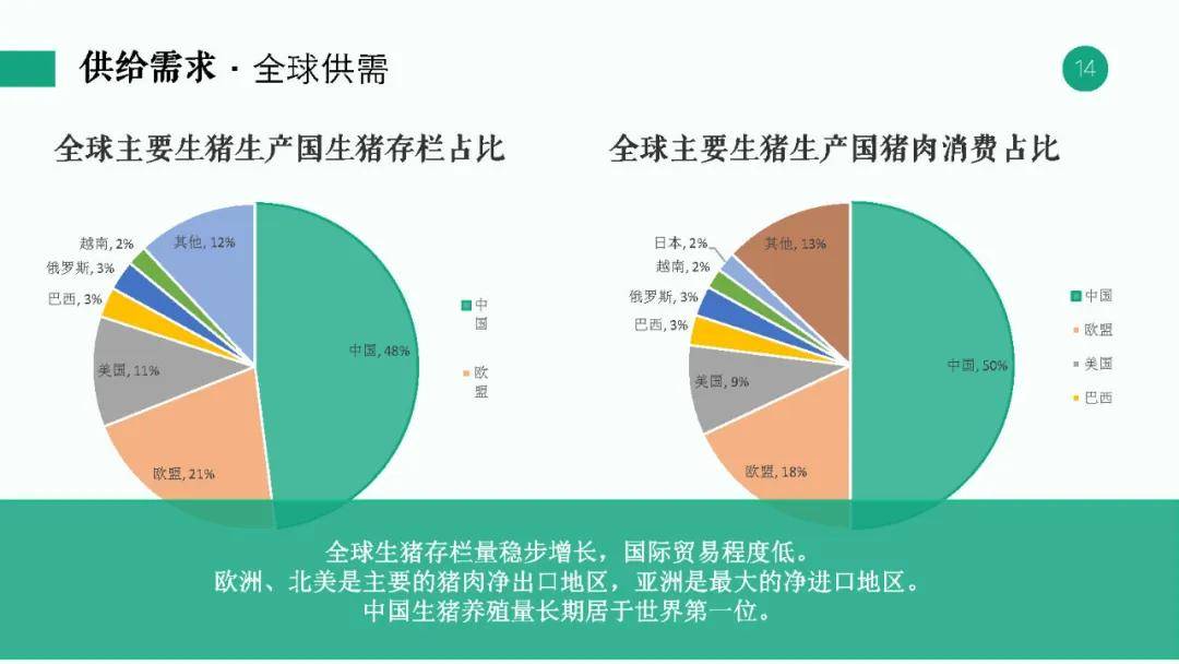 800百图库澳彩资料,理论分析解析说明_4K版64.100