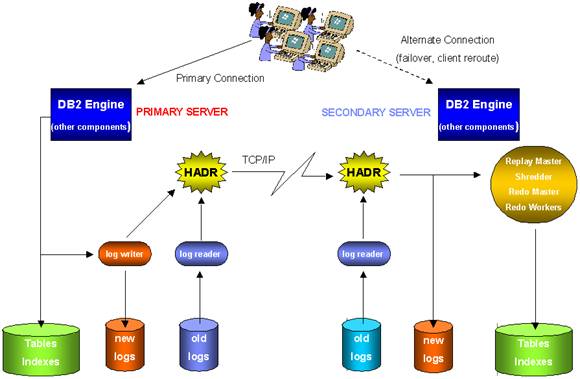 新澳免费资料大全最新版本,稳定性方案解析_V版62.843