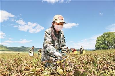 绰尔河农场新领导团队引领崭新气象