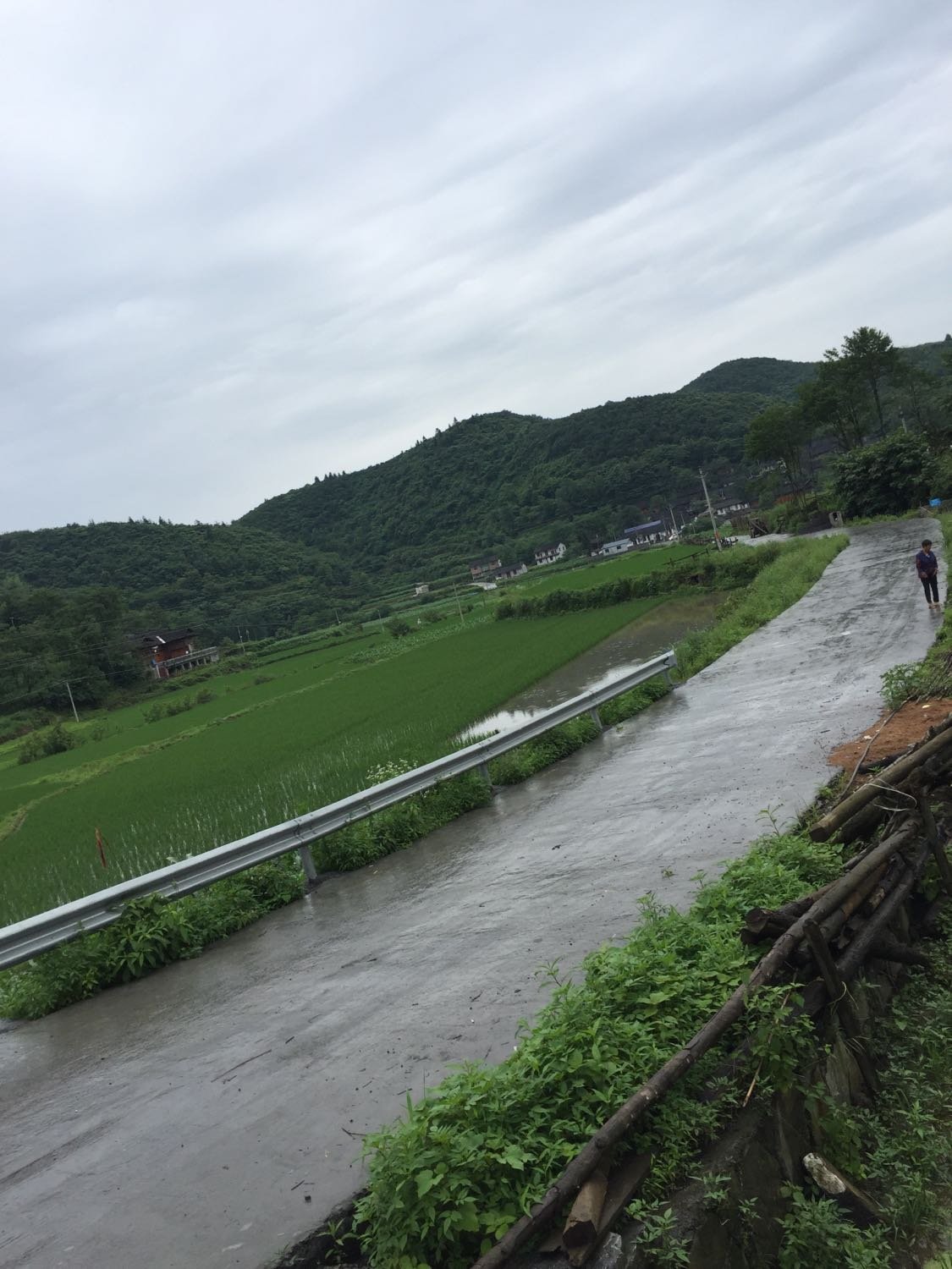 石巴村委会天气预报更新通知