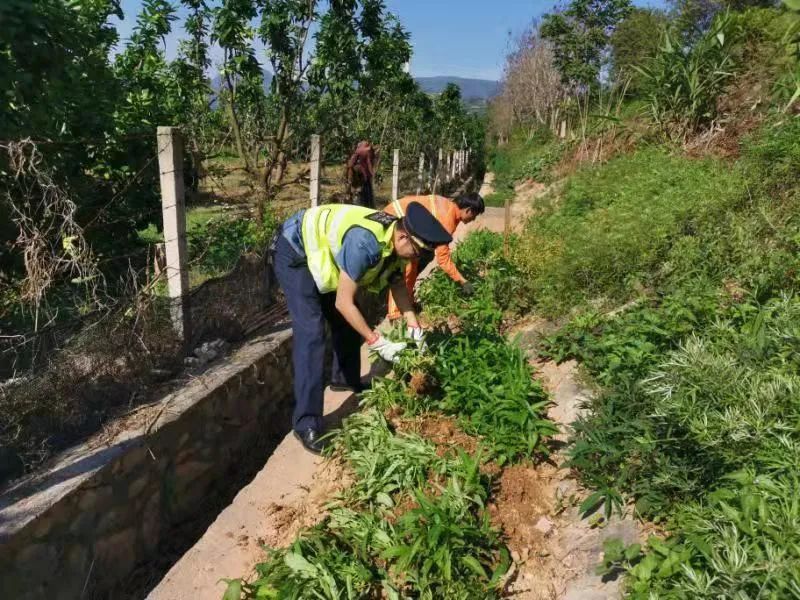 四新村民委员会交通新闻揭秘，乡村道路建设迈入崭新篇章