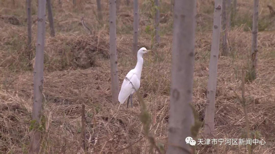 宁河县住房和城乡建设局领导团队最新概述