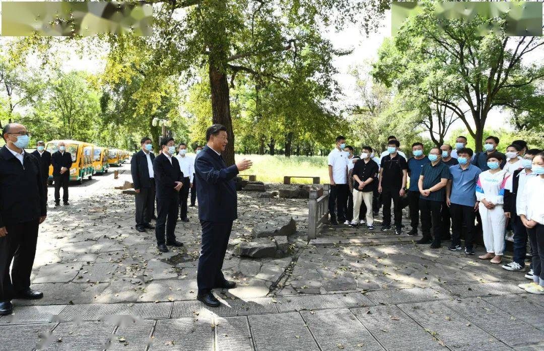 麻启营村委会最新交通动态报道