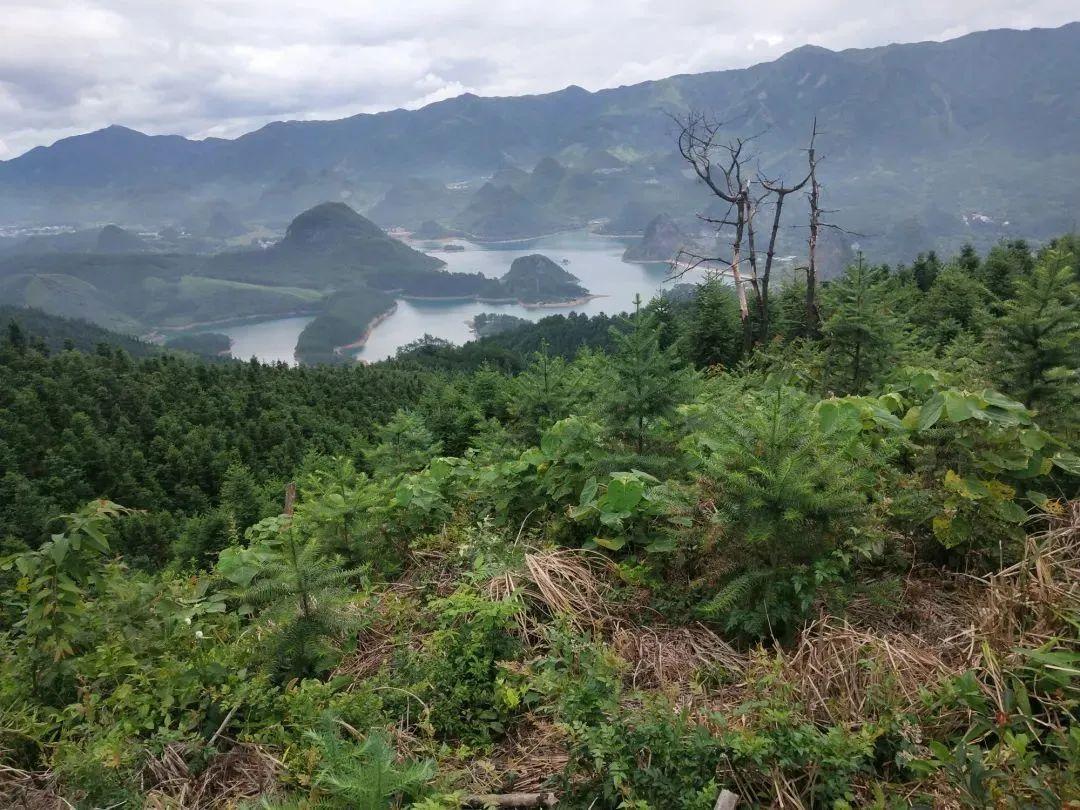 蕉江瑶族乡领导团队引领地方发展新征程