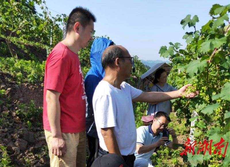 泸溪县科学技术和工业信息化局招聘启事