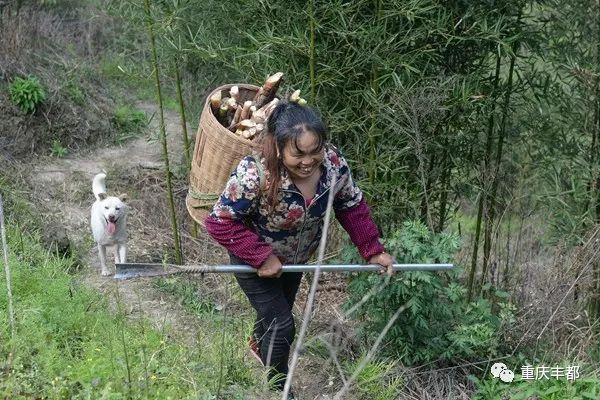 丰都县初中最新项目，引领教育创新，塑造未来之光启航行动