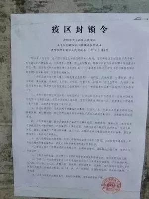 沈北新区发展和改革局最新招聘启事概览