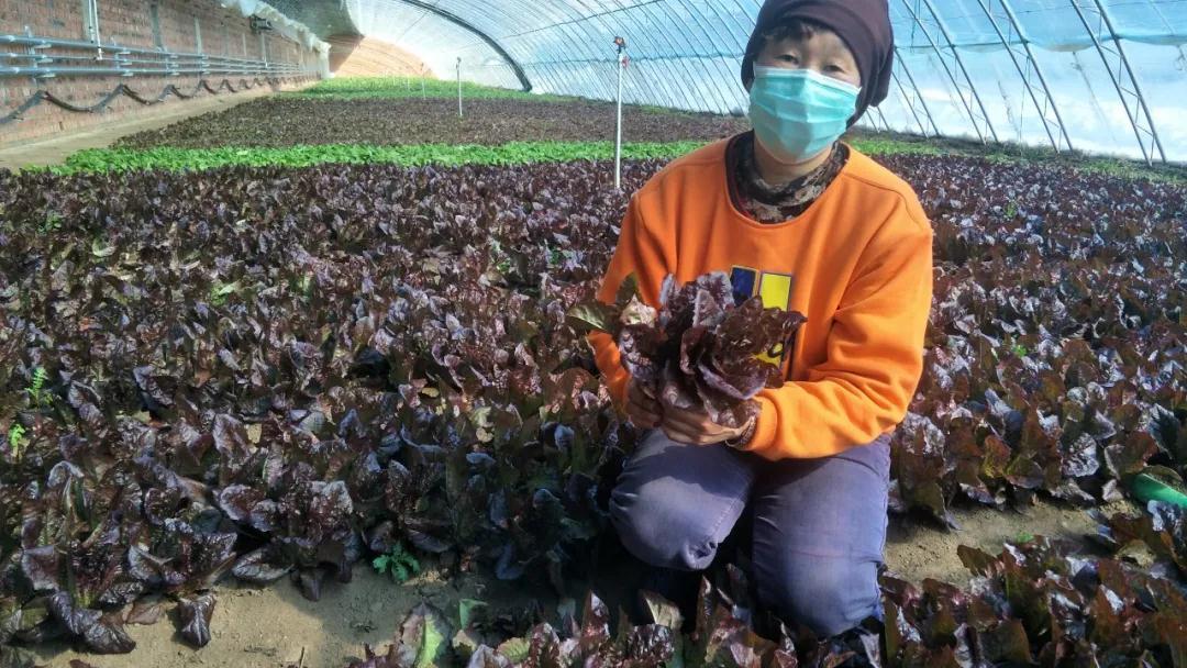 依兰农场天气预报更新通知