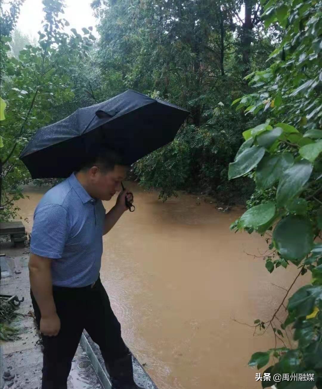 钧台街道最新新闻概览