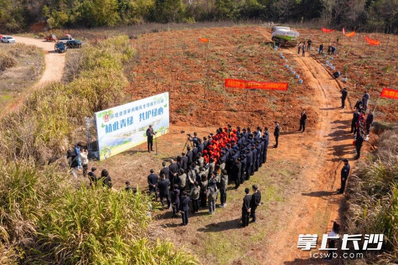 雨花区农业农村局推动农业现代化，助力乡村振兴新动态