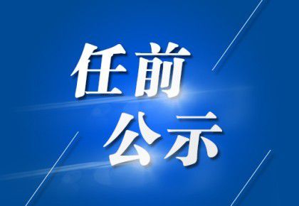 马岘村委会新领导团队引领下的新气象展望