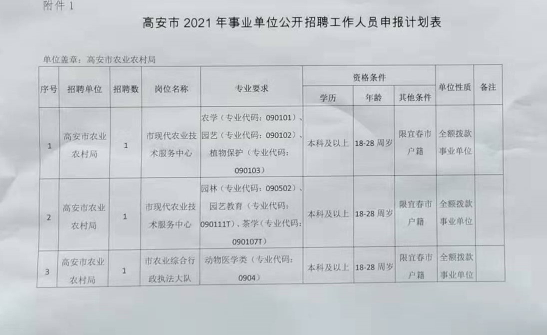 高安市审计局最新招聘公告详解