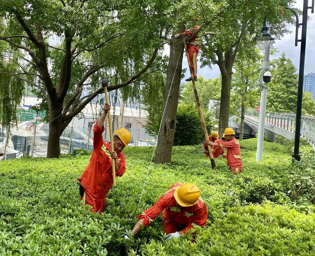 启东市图书馆新项目，引领未来阅读风尚的标杆