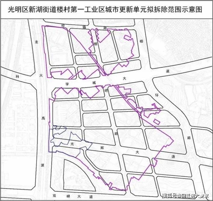 2024年12月26日 第8页