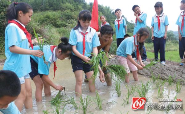 洪江市小学领导团队革新，引领未来教育新篇章